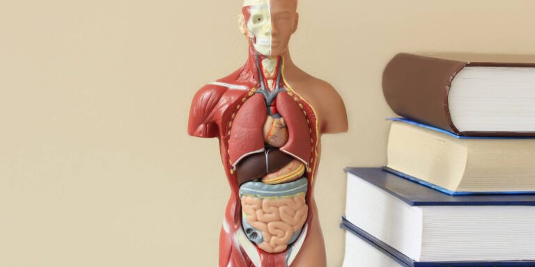 Free Class 12 Biology MCQs - Online Practice